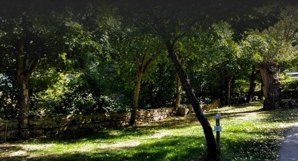Camping L'Enclave Mobil-Home Estavar エクステリア 写真