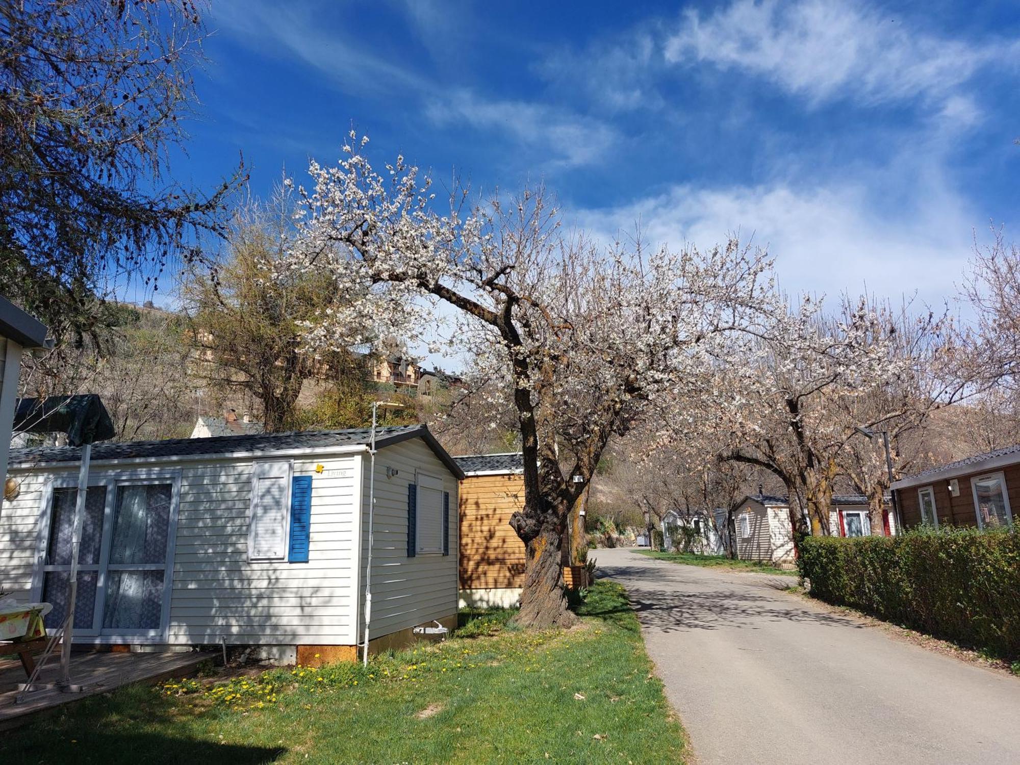 Camping L'Enclave Mobil-Home Estavar エクステリア 写真